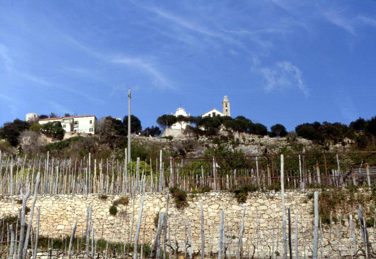 BORGIO VEREZI