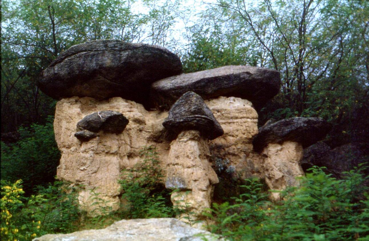 Rocce a fungo con cappi grigi su colonne sabbiose, circondati da vegetazione verde