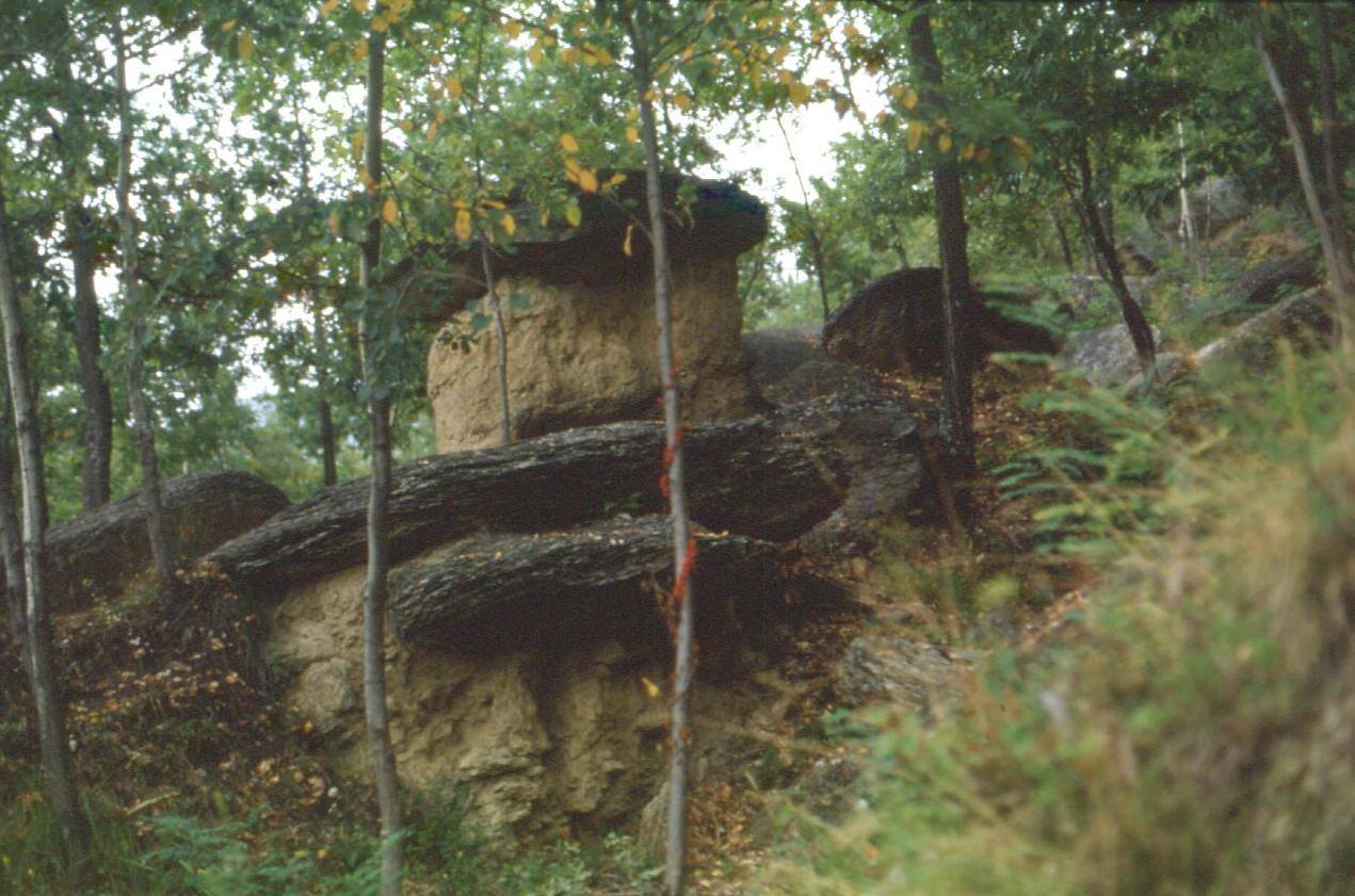 Formazioni rocciose a fungo tra gli alberi di un bosco