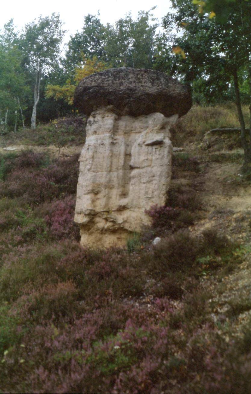 Roccia a fungo di pietra tra erica e alberi