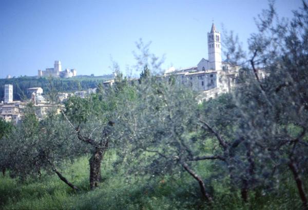 ASSISI