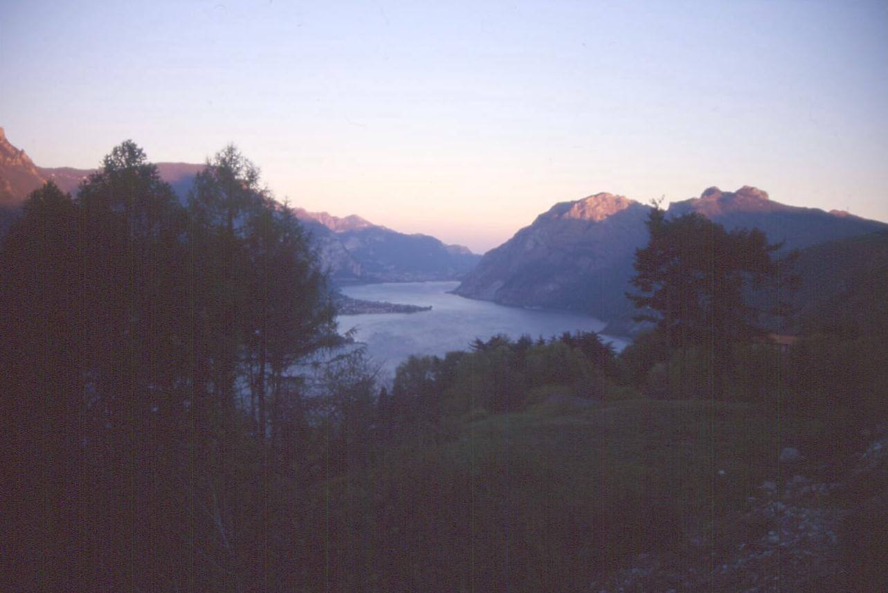 MADONNA DEL GRISALLO