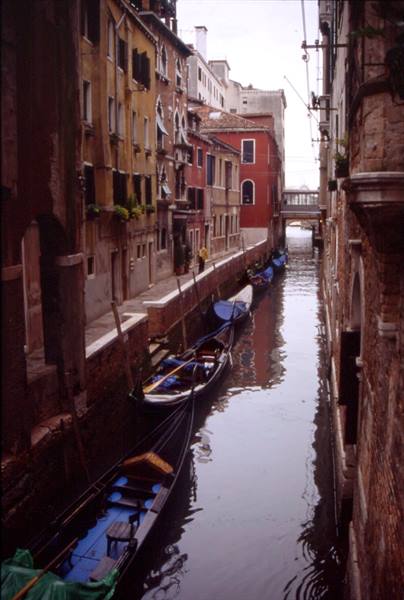 VENEZIA