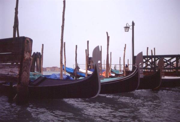 VENEZIA
