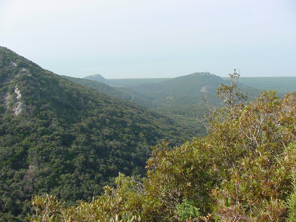 Colline ricoperte di macchia mediterranea verde si aprono verso il mare