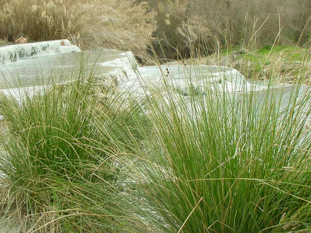 SATURNIA