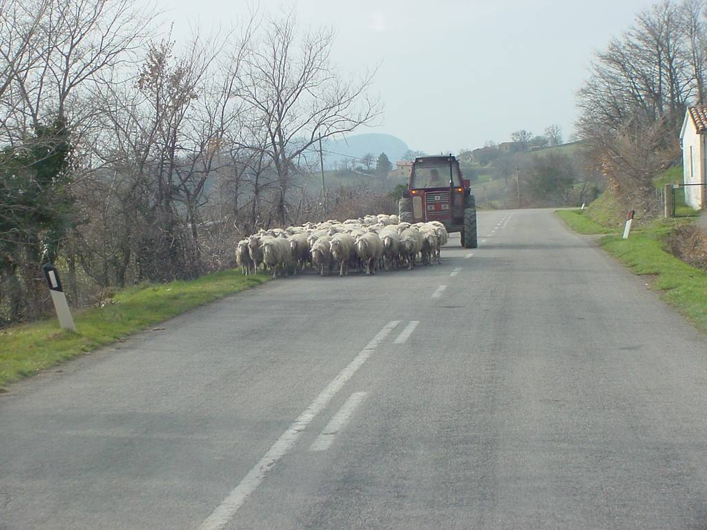 SORANO
