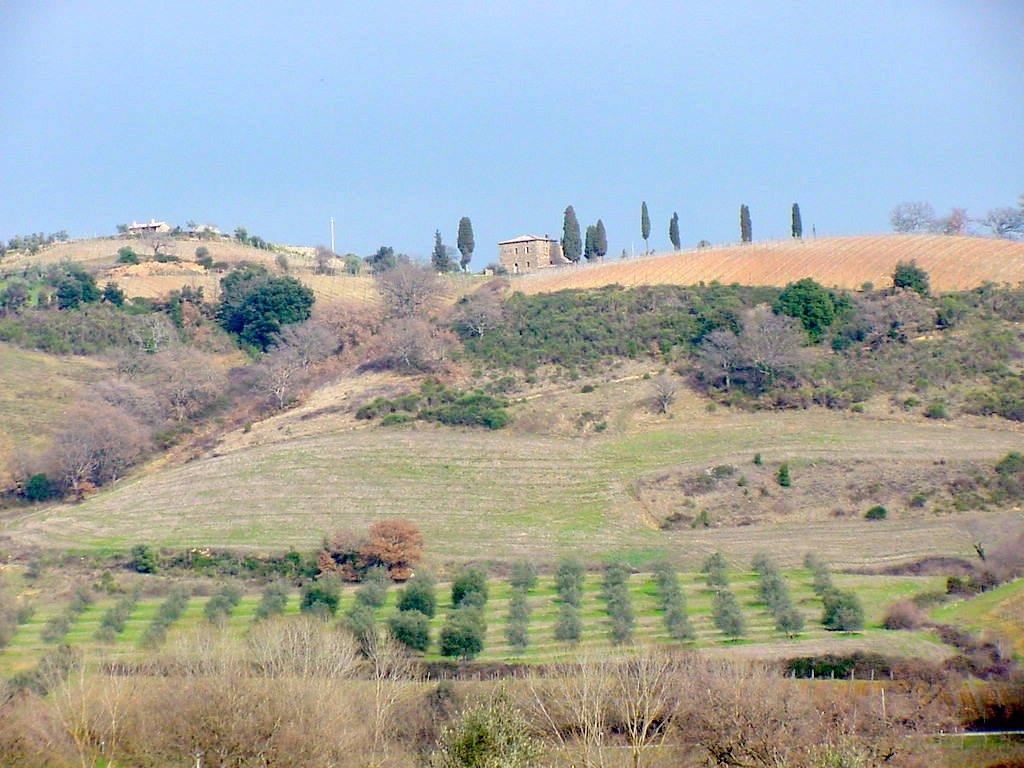 SANT ANTIMO