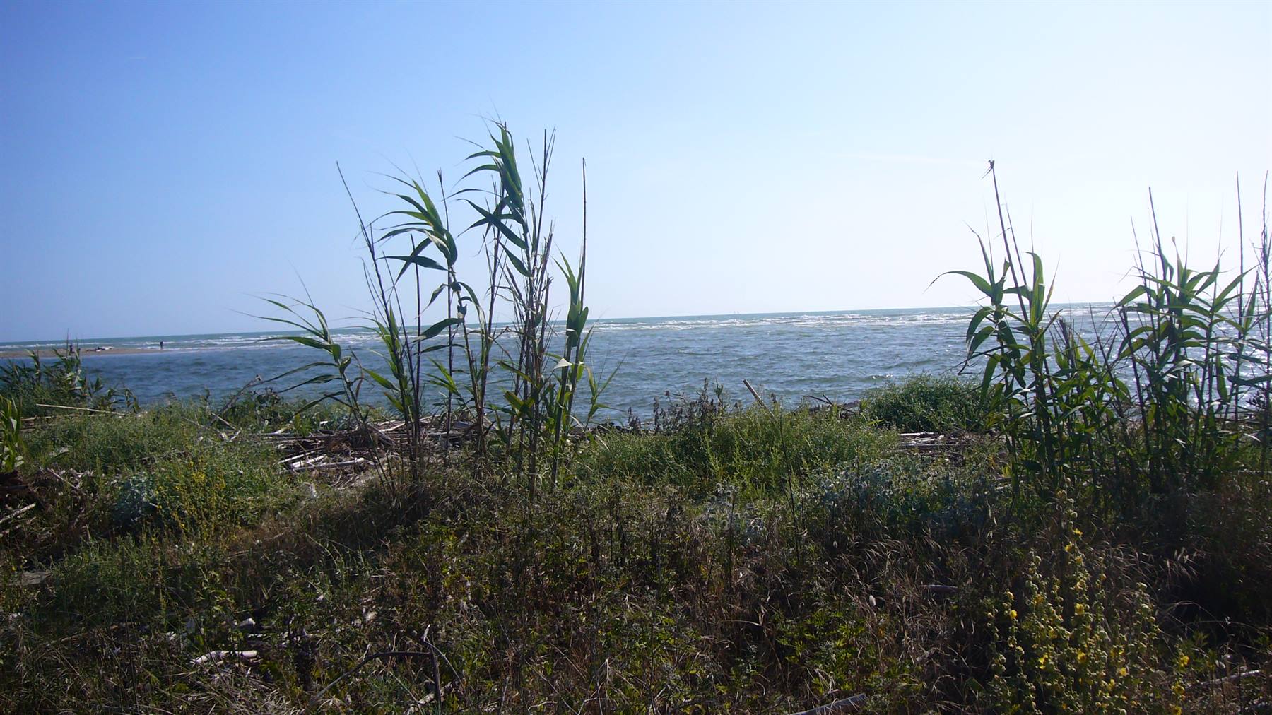 VECCHIANO TRA LA PINETA ED IL MARE