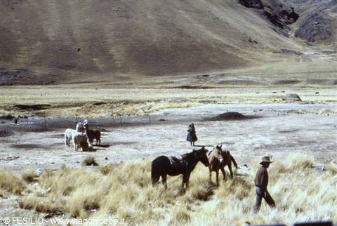 DAL TRENO VERSO CUZCO
