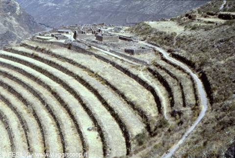 PISAC - TERRAZZAMENTI
