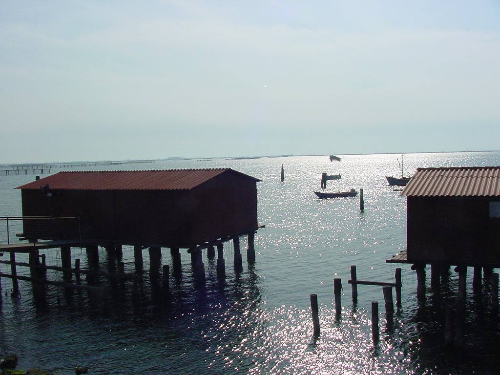 SACCA DEGLI SCARDOVARI