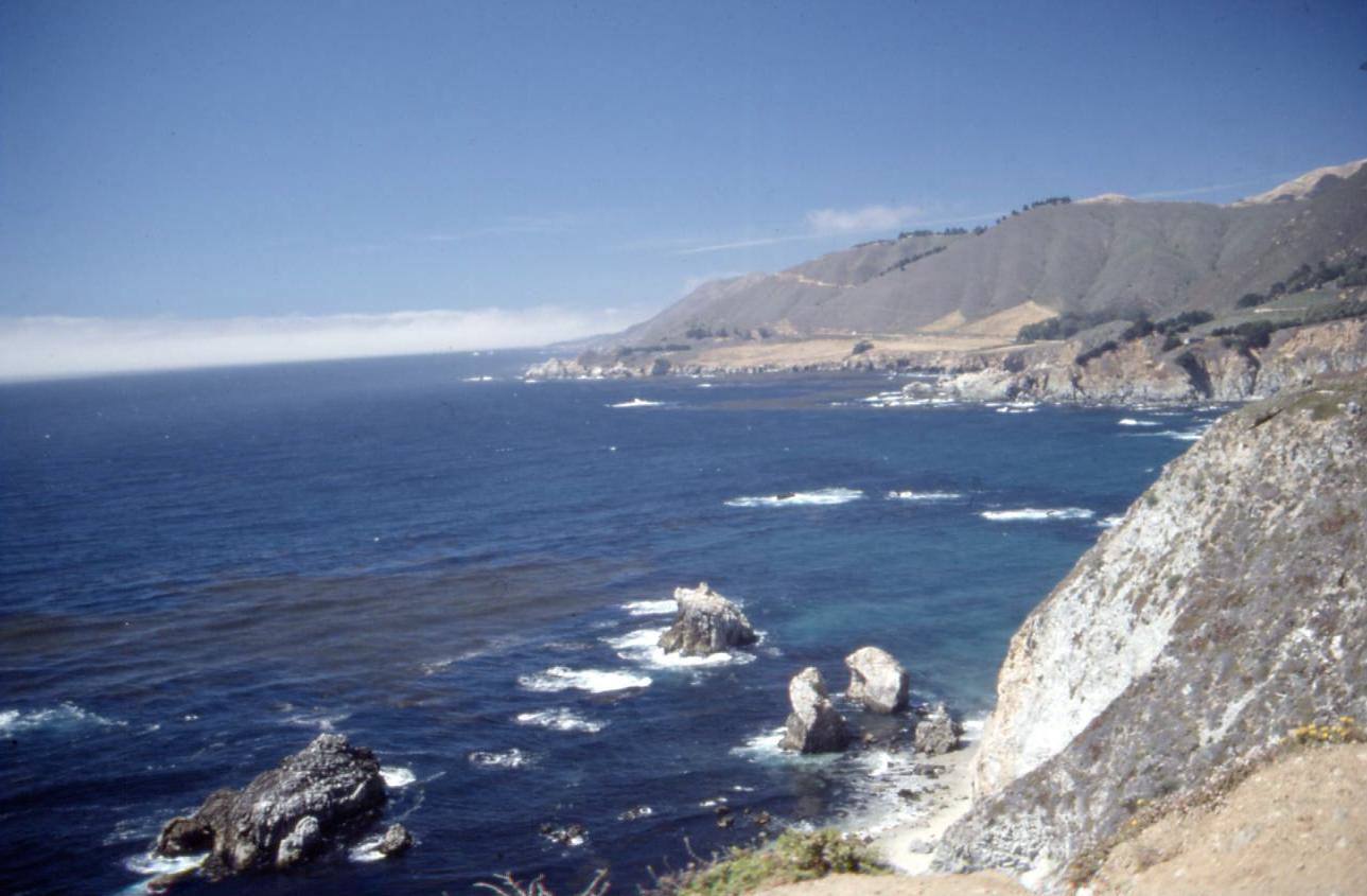 LA COSTA PACIFICA