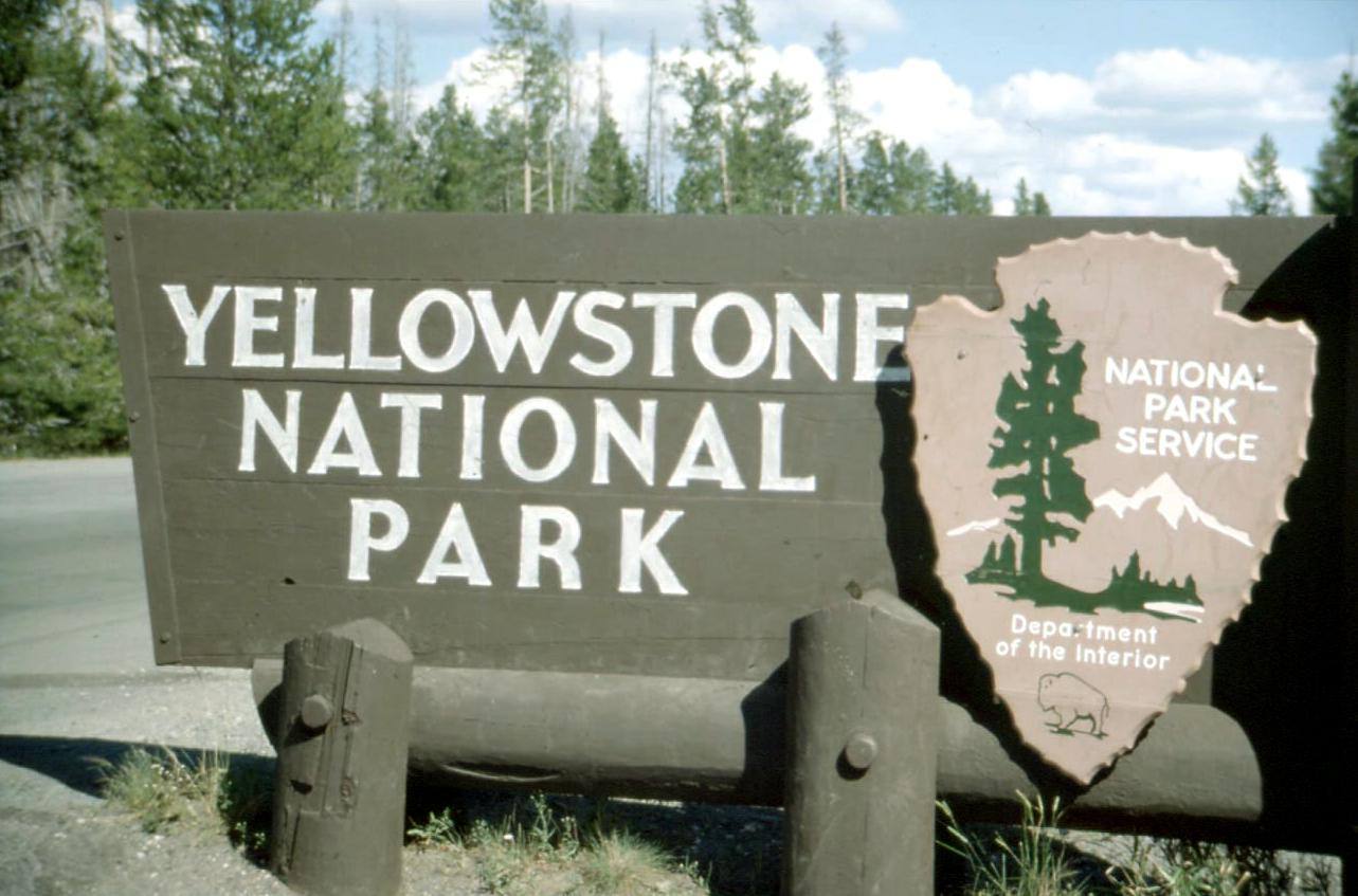 YELLOWSTONE 