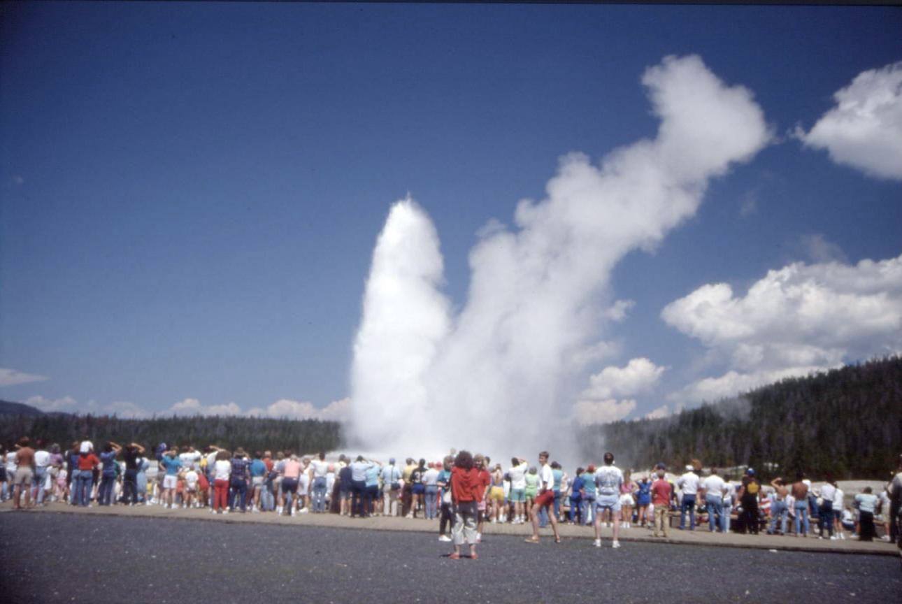 YELLOWSTONE