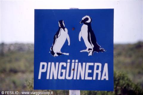PUNTA TOMBO