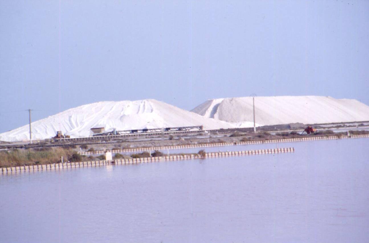 AIGUES MORTES