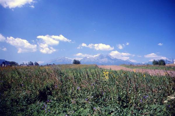 ZDIAN - I MONTI TATRA