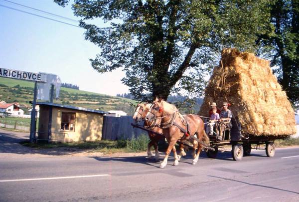 LEVOCA