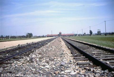 BIRKENAU - IL CAMPO