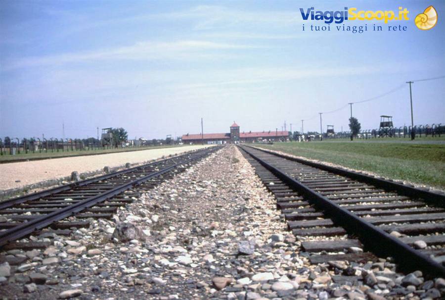 BIRKENAU - IL CAMPO