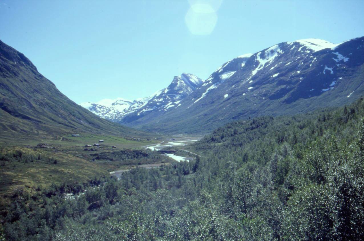 VERSO KROSSBU