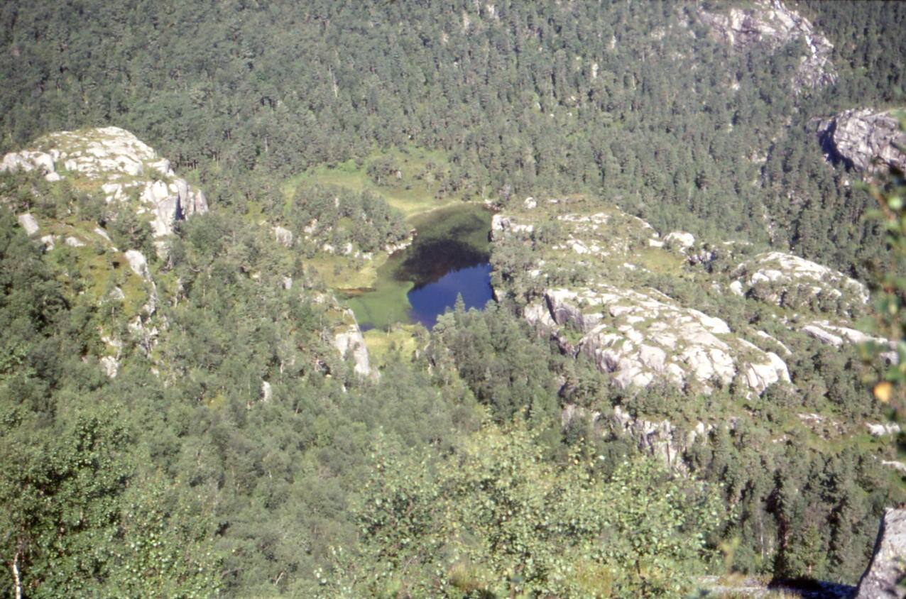 PLEIKESTOLEN