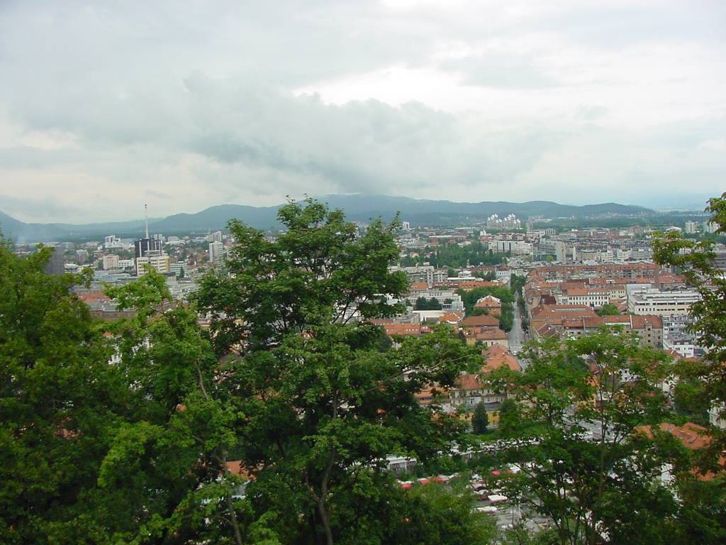 PANORAMA