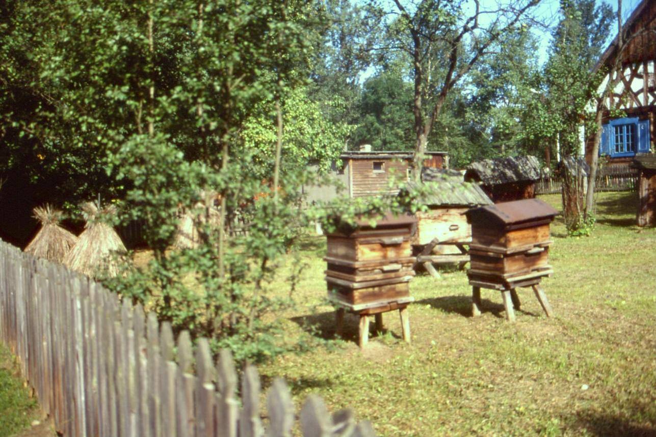 PARCO DI OLSZTYNEK