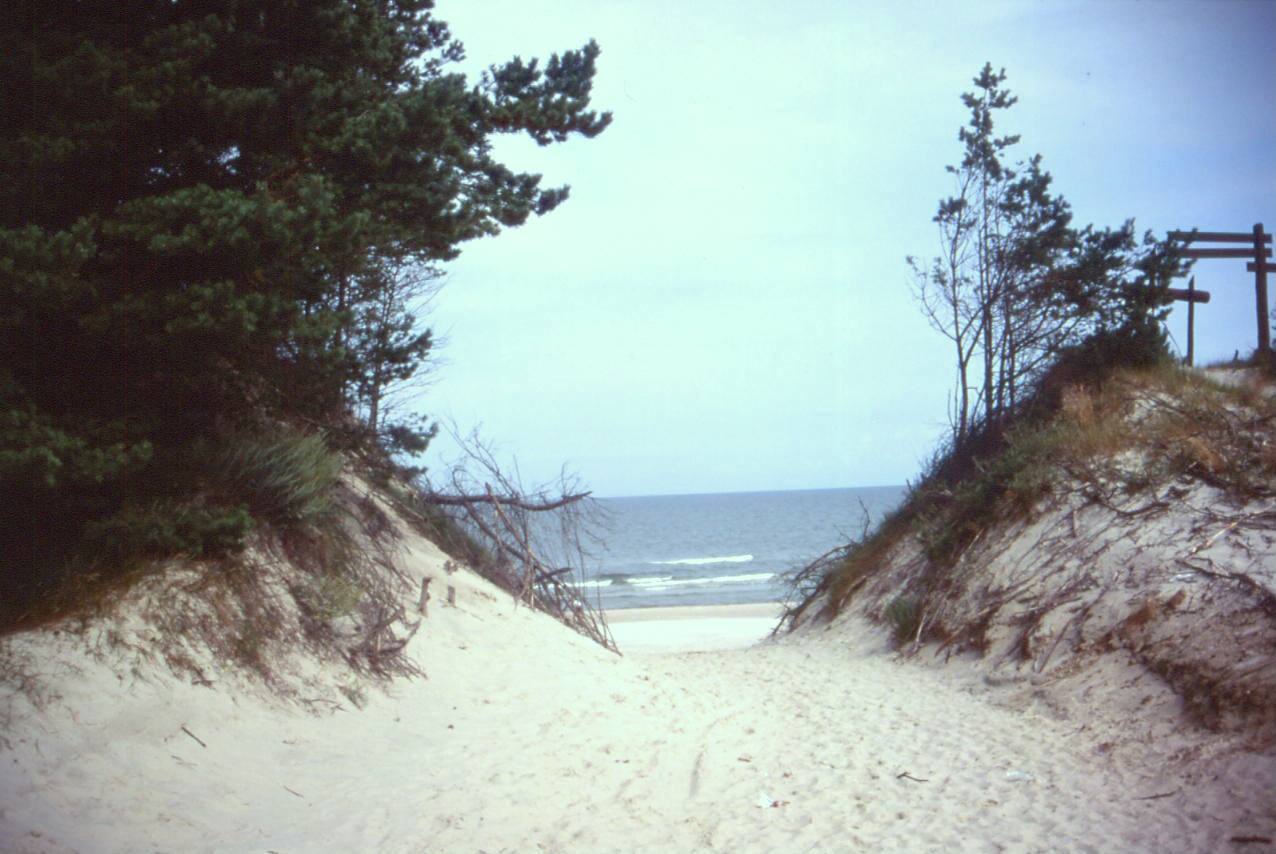 LEBA