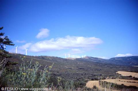 COLLINE DEL PERDON