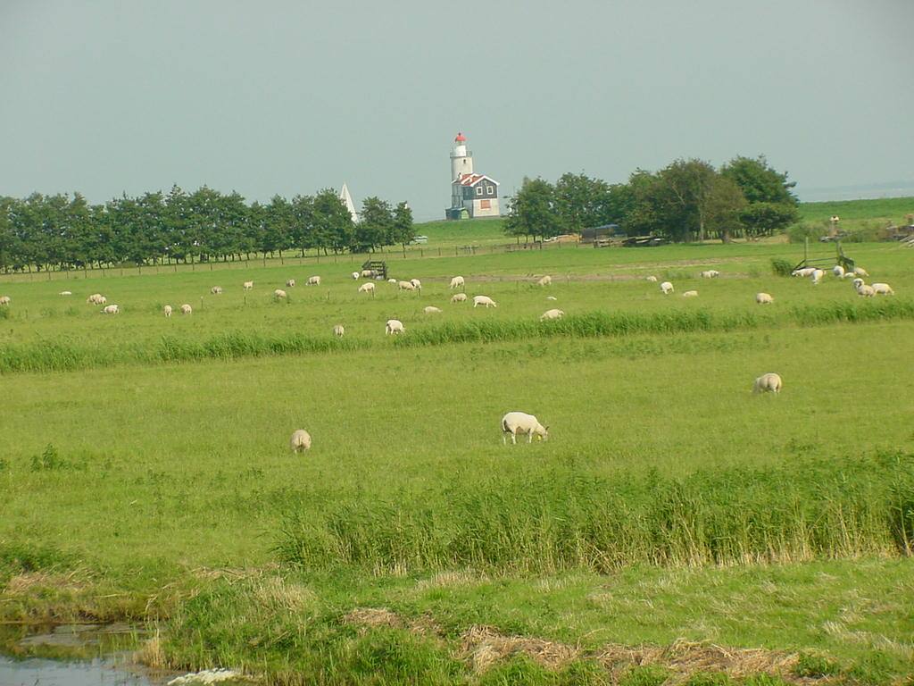 MARKEN