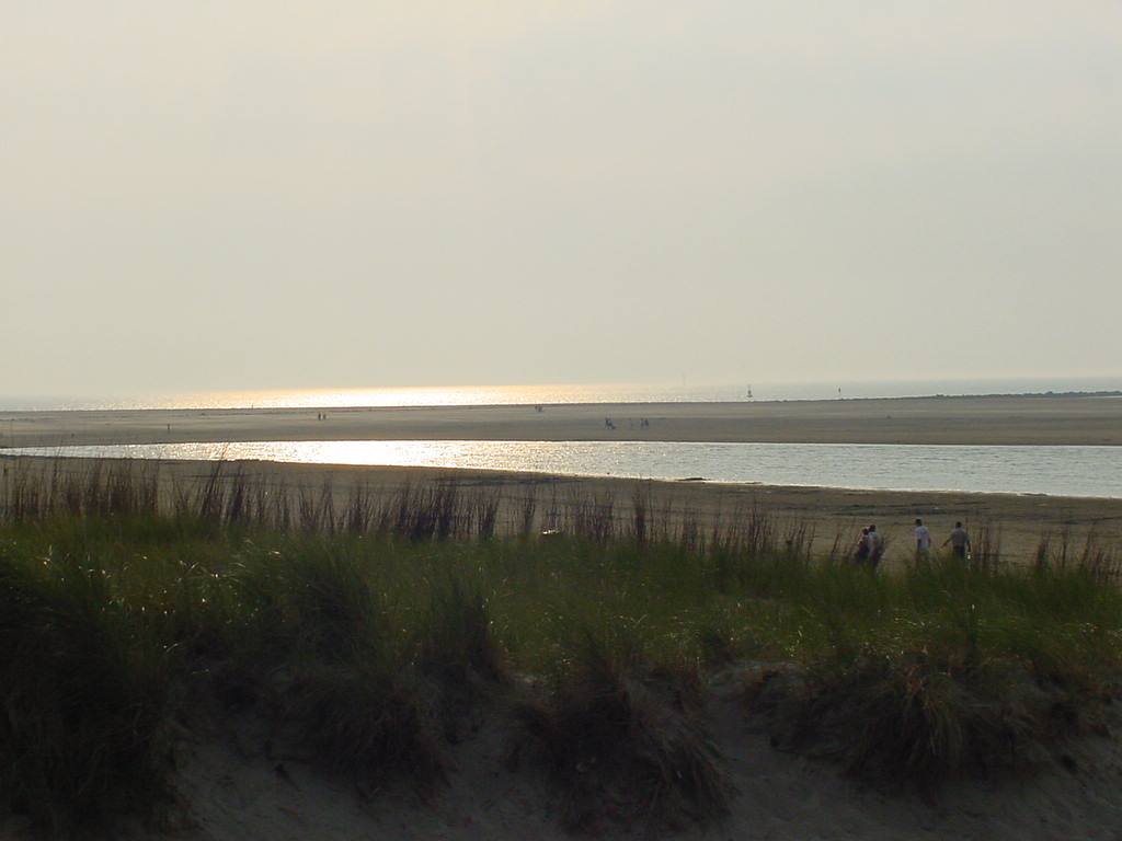 TEXEL