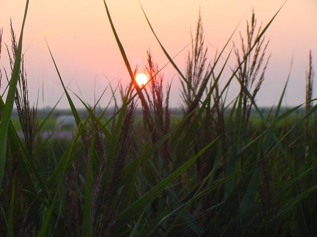 HINDELOOPEN