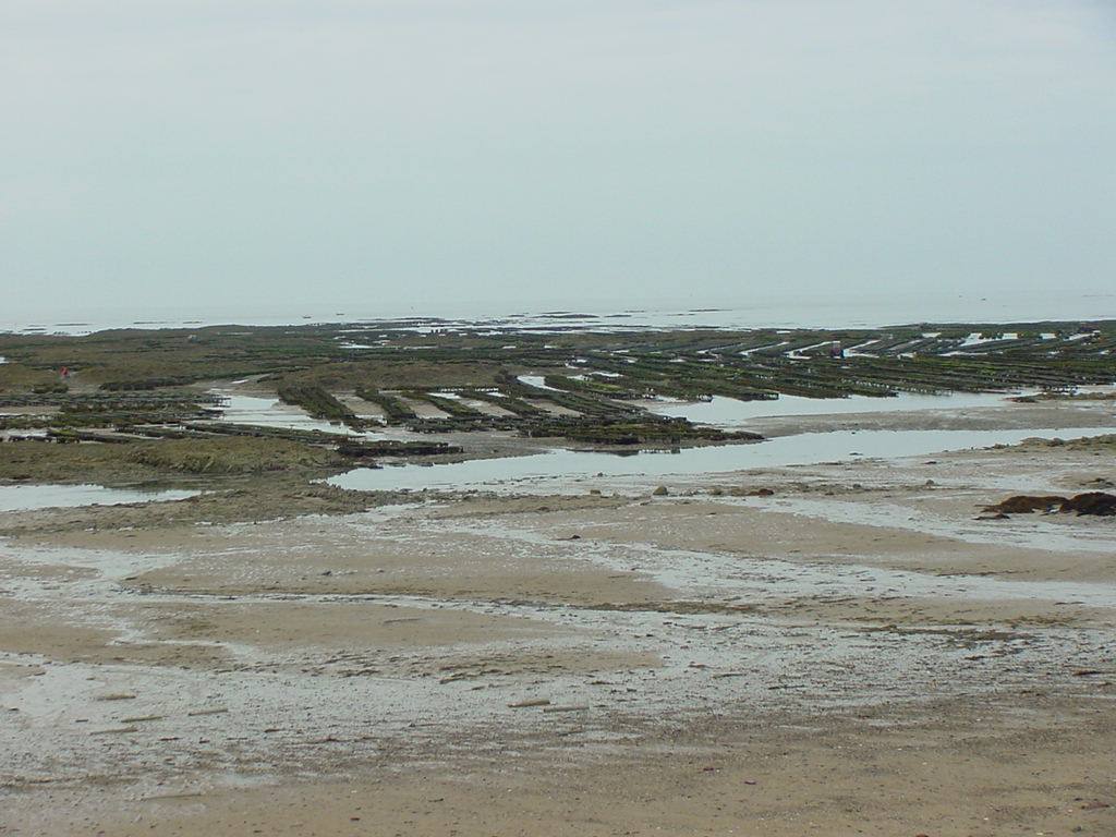 COUTAINVILLE - BASSA MAREA