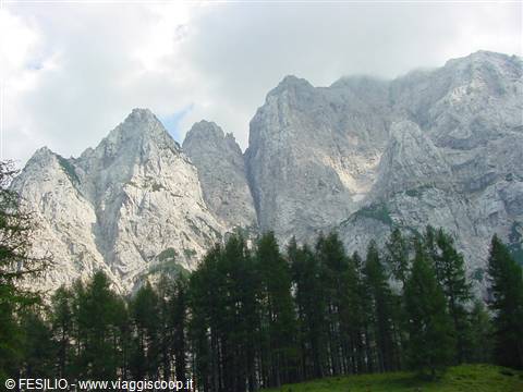 PASSO VRSIC