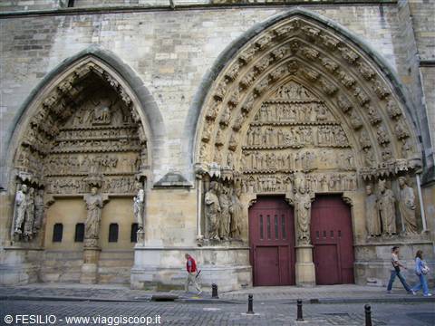 REIMS