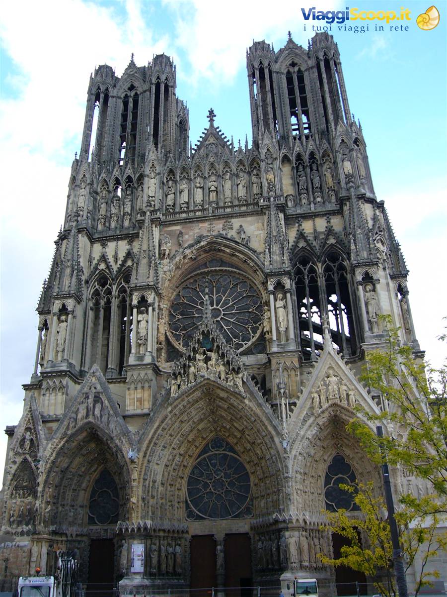 REIMS