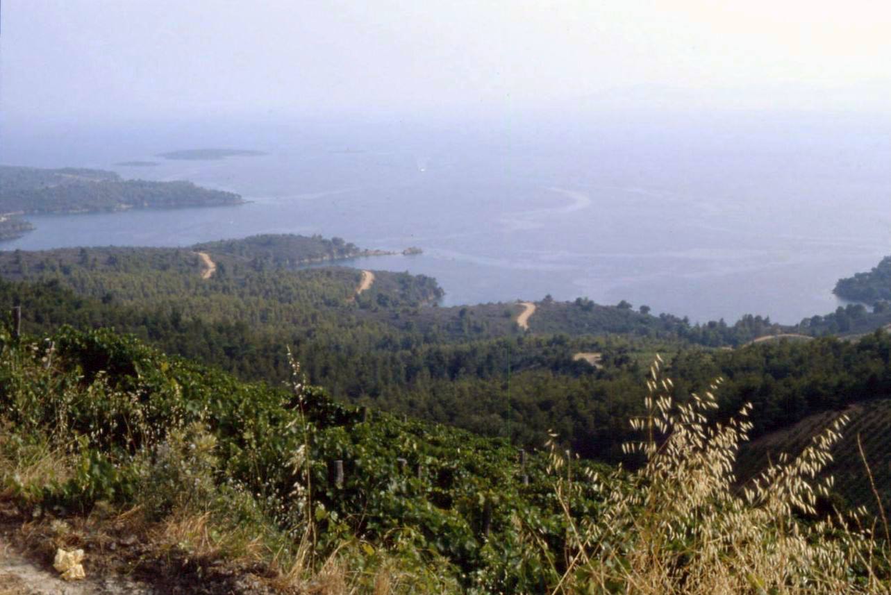 SITHONIA