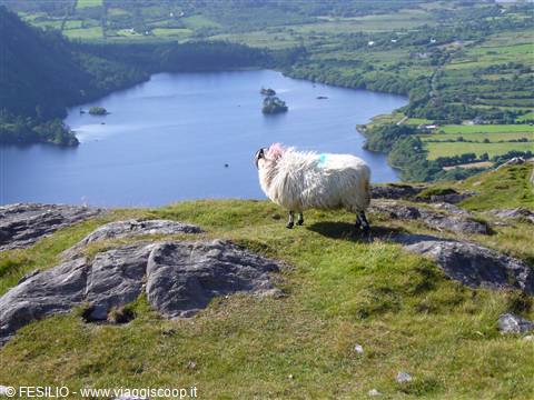 RING OF KERRY