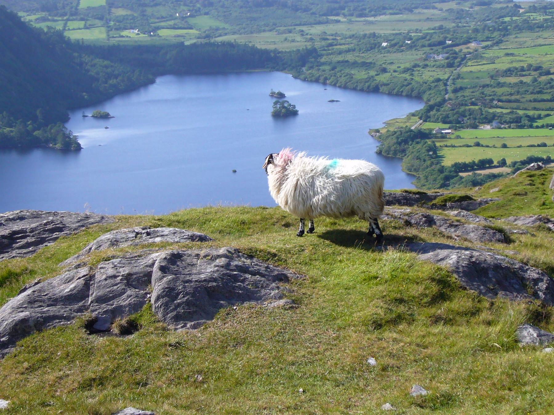 RING OF KERRY