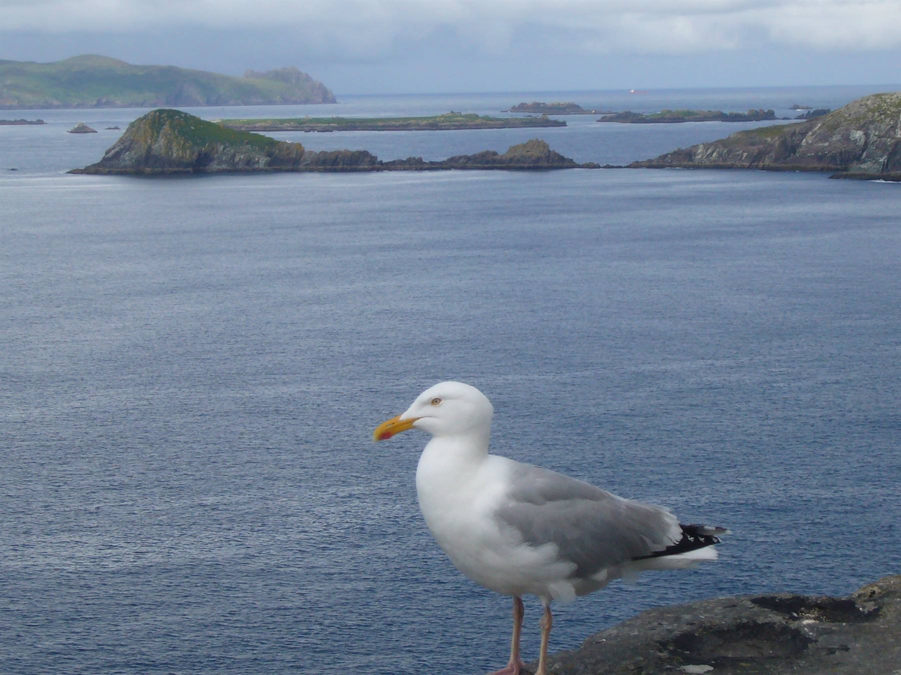 PENISOLA DI DINGLE