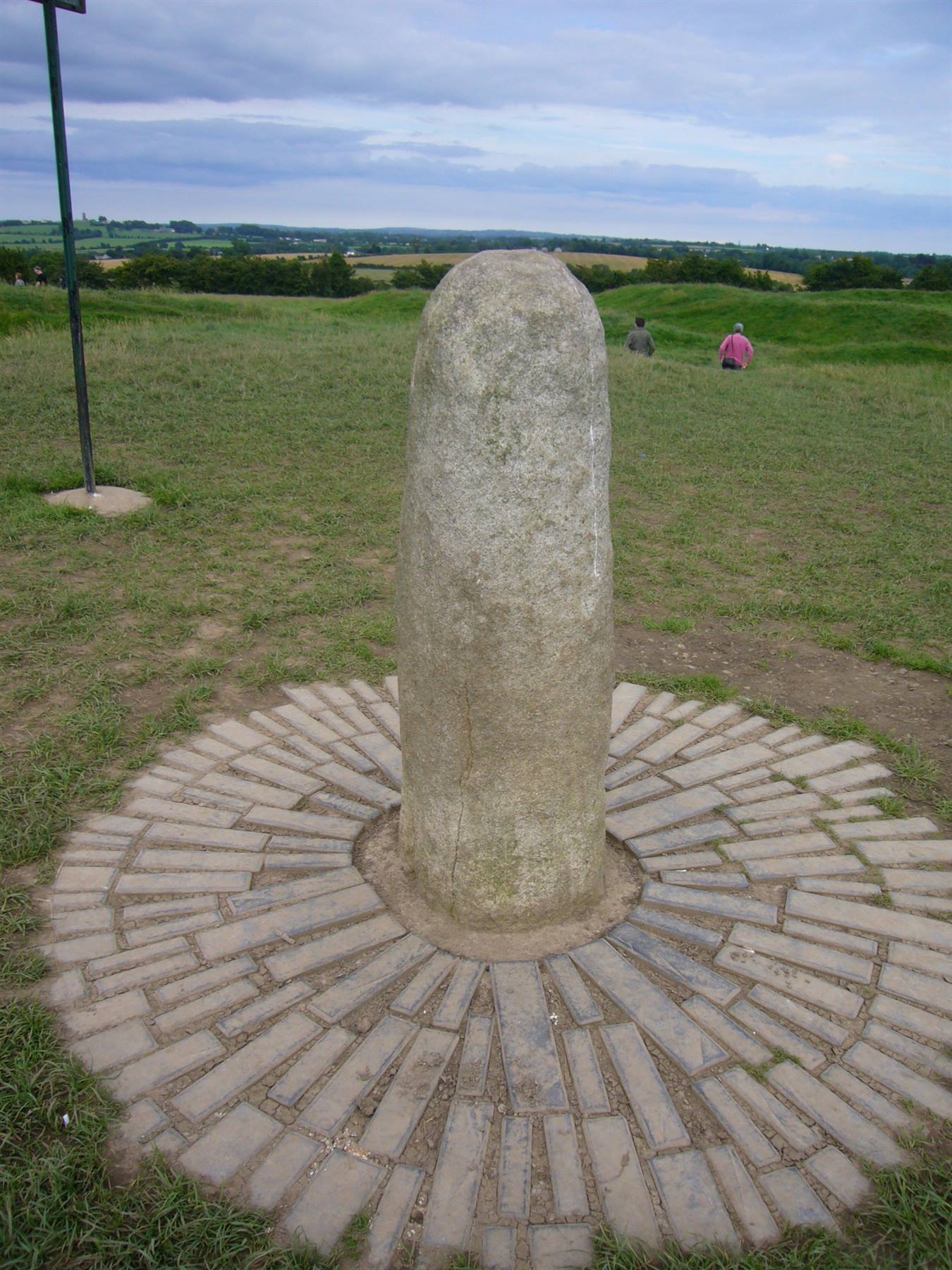 TARA