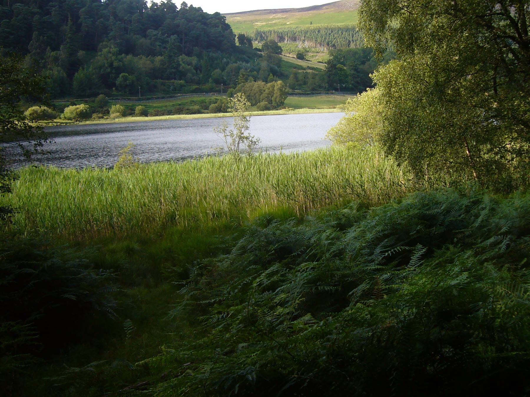 GLENDALOUGH