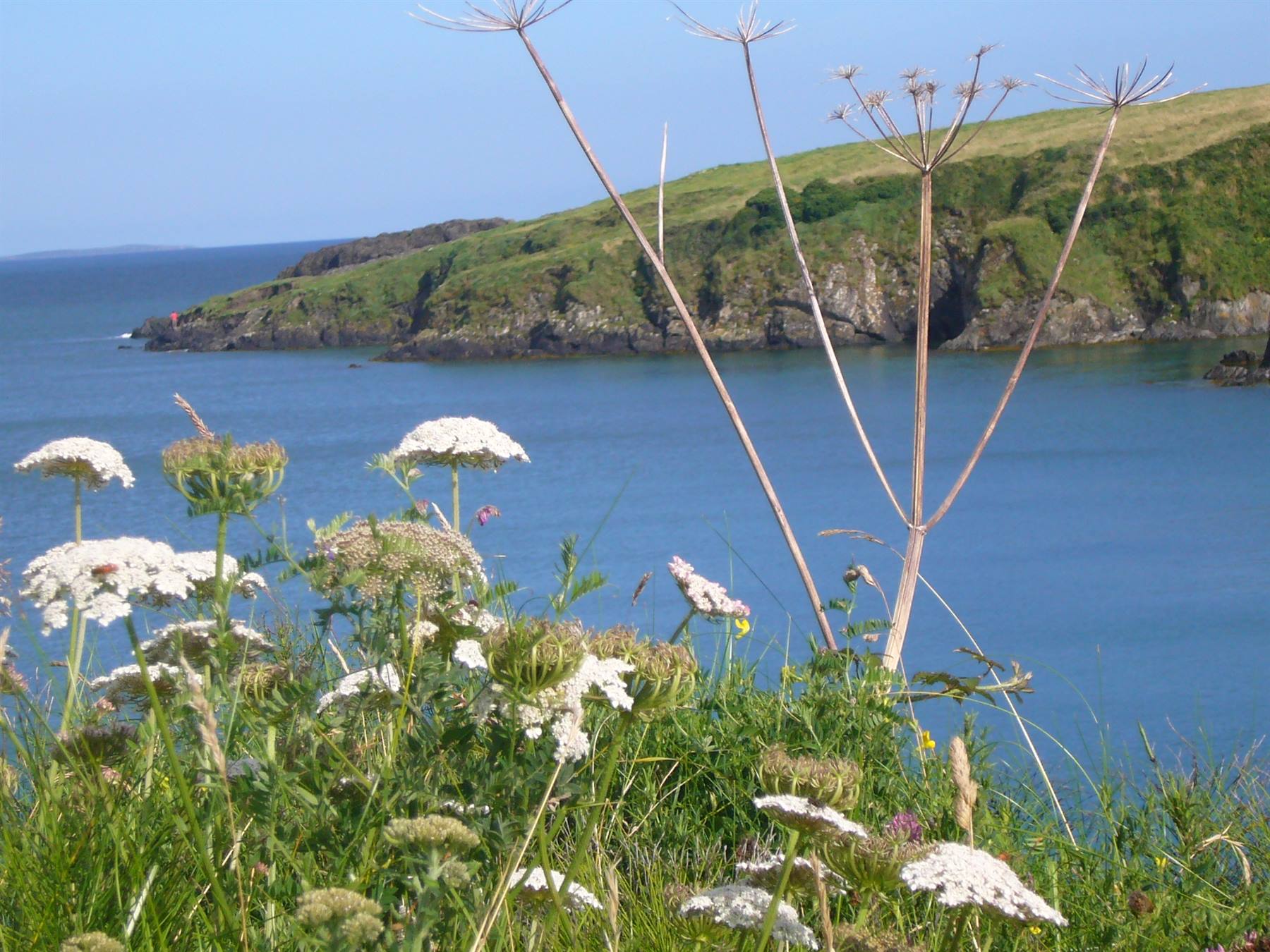 WEXFORD