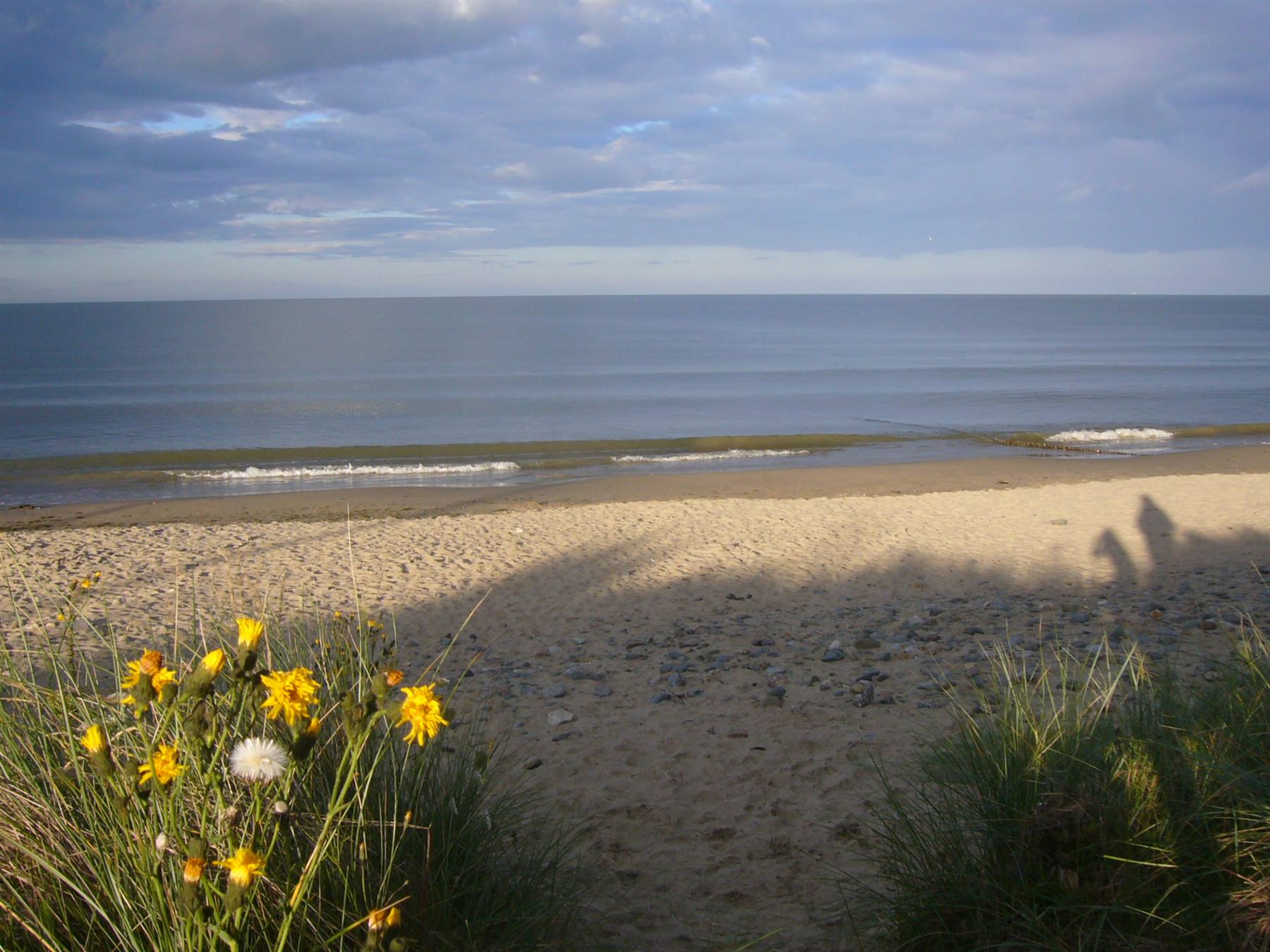 ROSSLERE