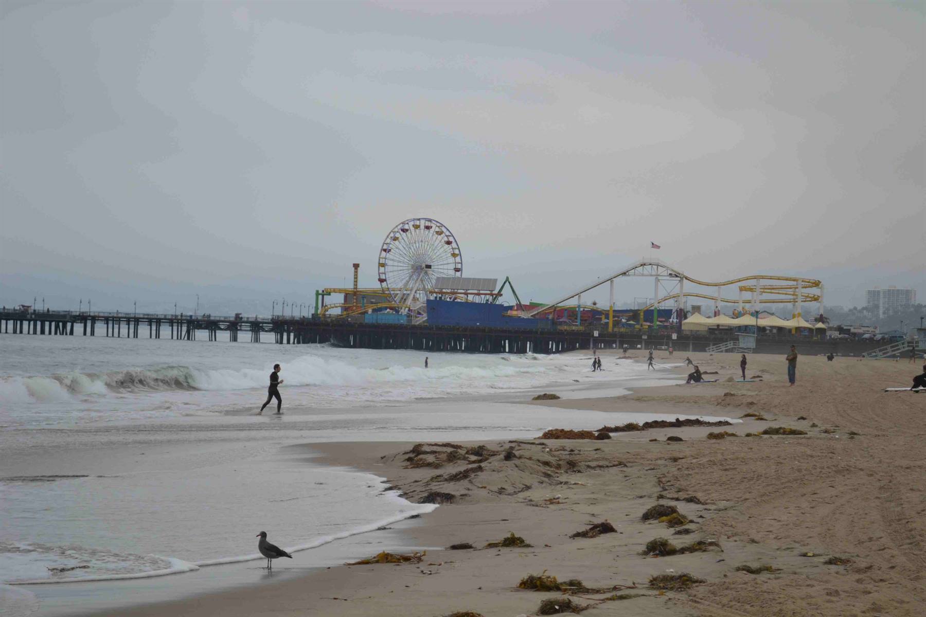 Il pier visto dalla spiaggia di Santa Monica