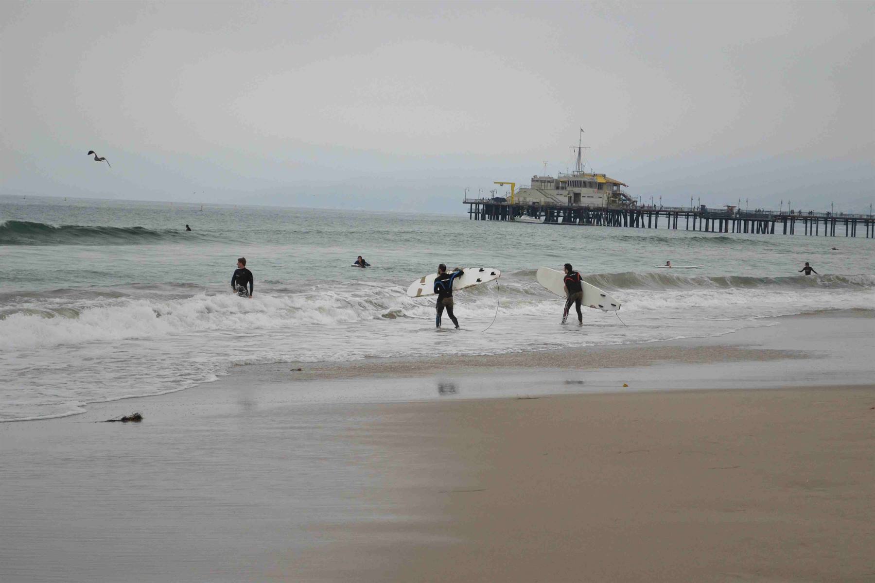Surfisti a Santa Monica