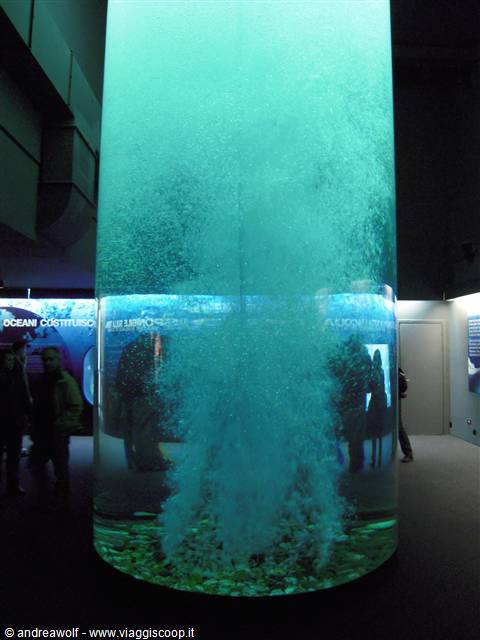 Interno dell'acquario