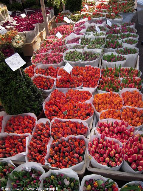 Mercato dei fiori
